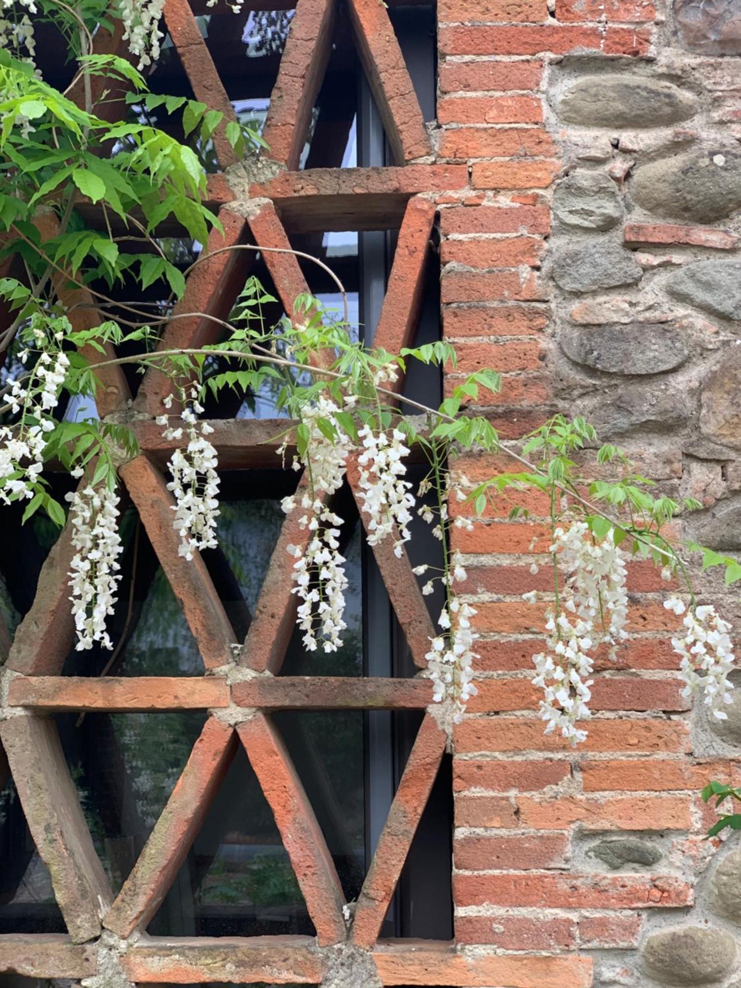 Casale La Gora - B&B Di Charme Figline Valdarno Bagian luar foto